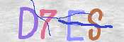 キャプチャ画像